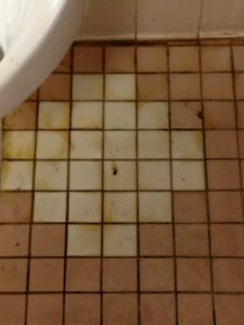 Bathroom odor - unsealed tile2