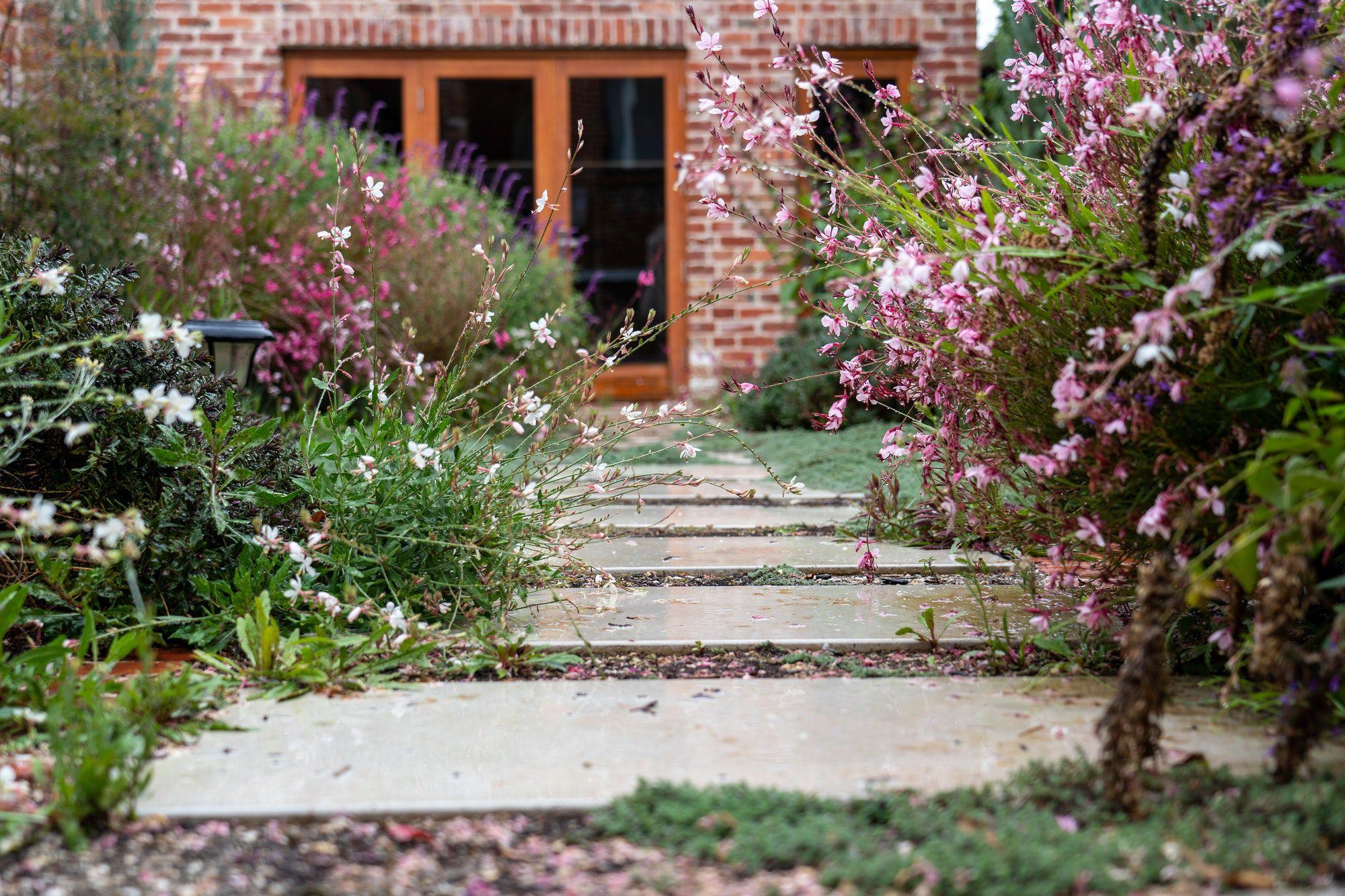 pavers in blossoming garden, filled with shrubs & flowers still wet from the rain