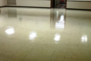 Concrete Tile Floors Stone Pavers Expoxy Sealers by RexPro RexShield (3)