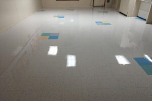 Concrete Tile Floors Stone Pavers Expoxy Sealers by RexPro RexShield (51)