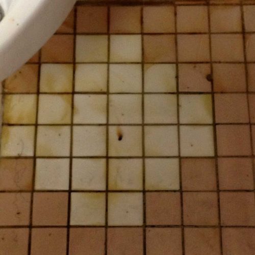 Bathroom odor - unsealed tile2